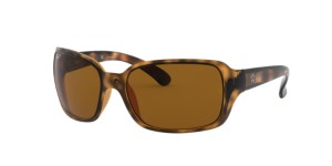 RAY-BAN RB4068  Sunglasses