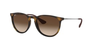 RAY-BAN RB4171 ERIKA Sunglasses