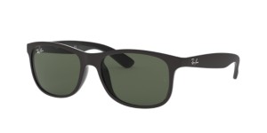RAY-BAN RB4202 ANDY Sunglasses
