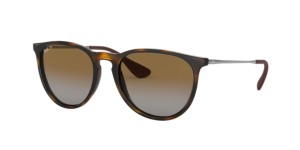 RAY-BAN RB4171 ERIKA Sunglasses